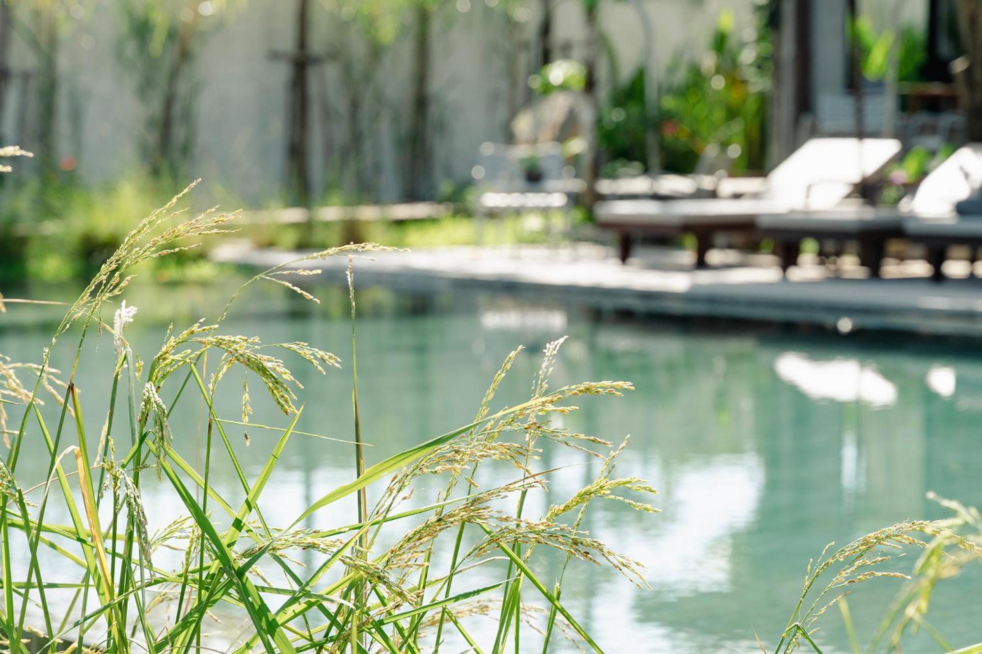 Le Chanthou Boutique Siem Reap Eksteriør billede